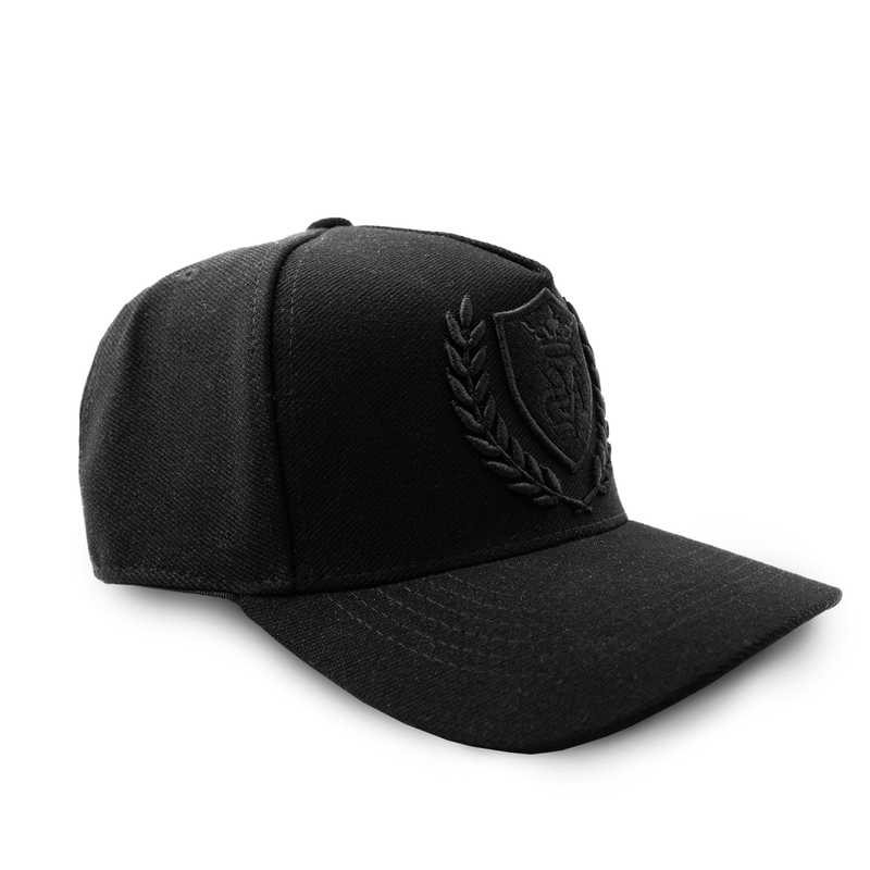 Boné Art Stillo PRETO TRUCKER Wings Logo PRETO